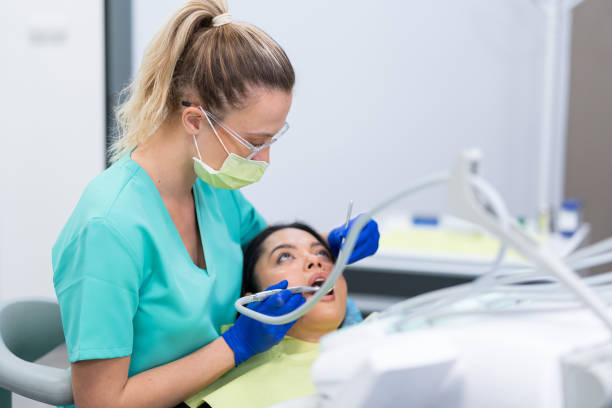 Best Emergency X-Rays and Diagnostics in Bangor Base, WA